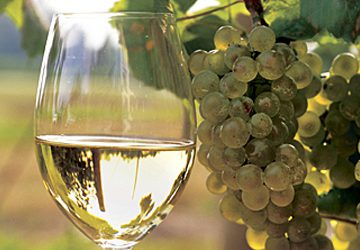 Airén por el Mundo 2025: tradición y calidad en el concurso de la uva blanca más cultivada